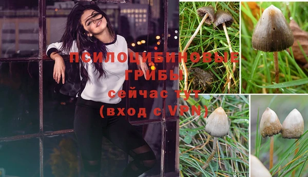 гидропоника Бородино
