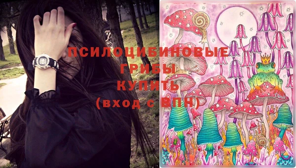 гидропоника Бородино