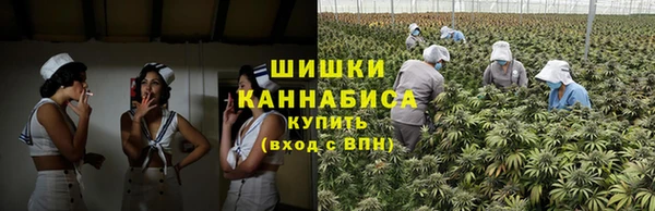 гашик Бронницы