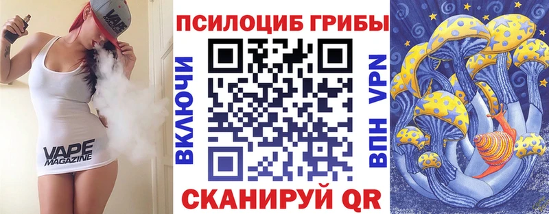 где продают   Горячий Ключ  Псилоцибиновые грибы MAGIC MUSHROOMS 
